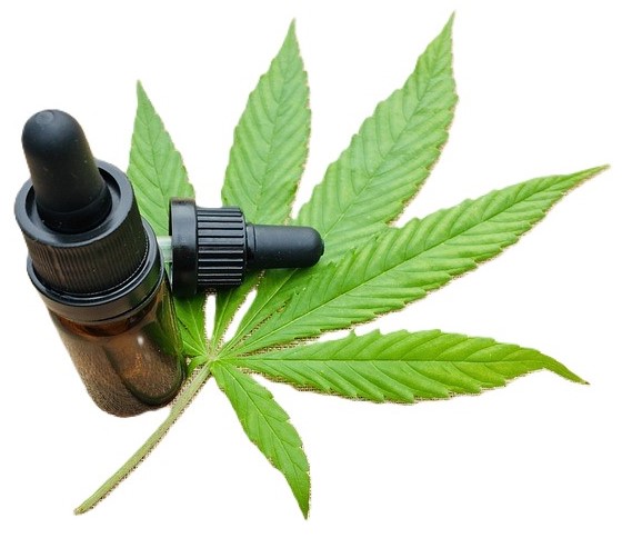 CBD Oil