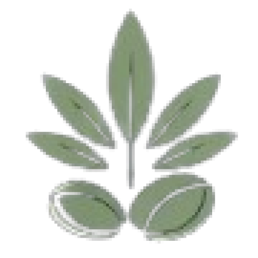 Buy Cannabis Seeds