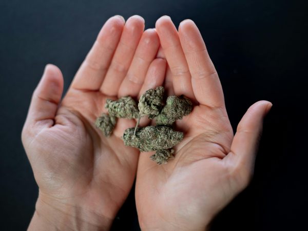 The 10 Best Cannabis Marketing Agencies – My Choices